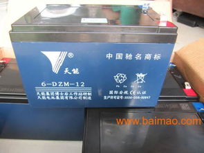 正品超威 天能電池電動車蓄電池電瓶車,正品超威 天能電池電動車蓄電池電瓶車生產(chǎn)廠家,正品超威 天能電池電動車蓄電池電瓶車價格